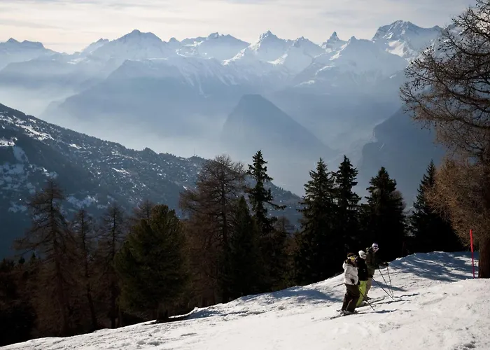 Mont-rouge E 010 - View 8 Pers Veysonnaz